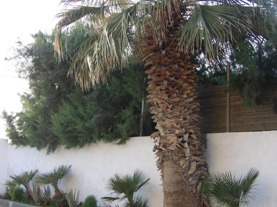 Teo 1 Apartment Γούβες Εξωτερικό φωτογραφία