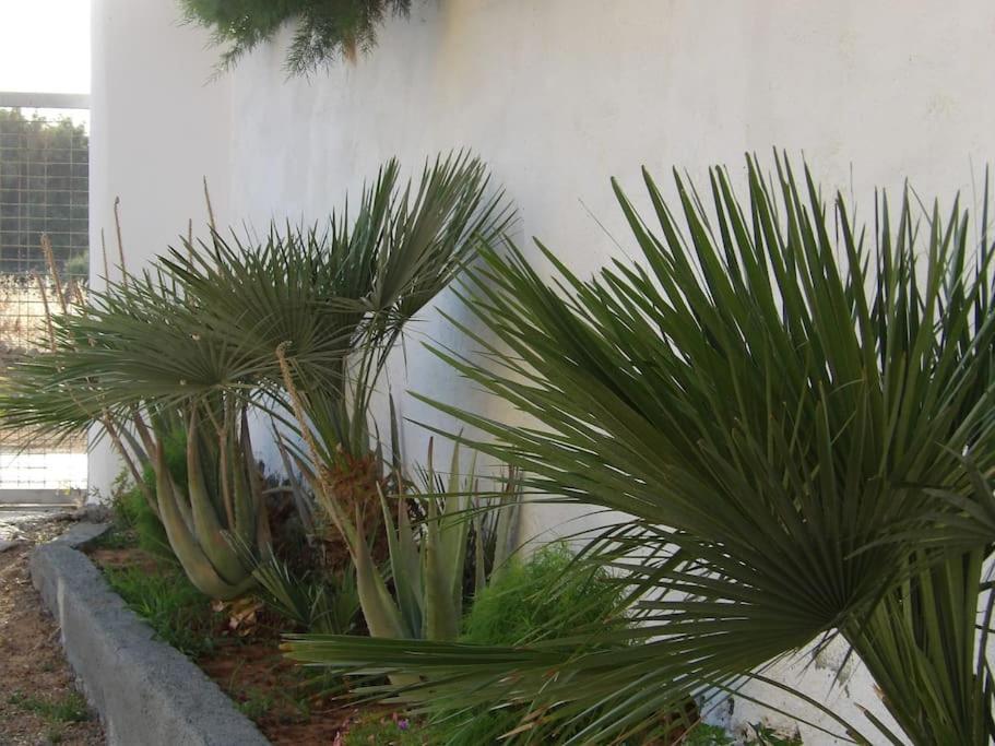 Teo 1 Apartment Γούβες Εξωτερικό φωτογραφία