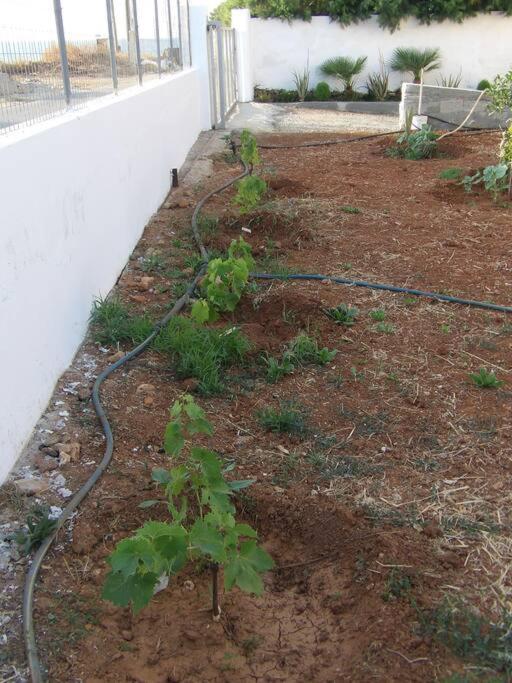 Teo 1 Apartment Γούβες Εξωτερικό φωτογραφία